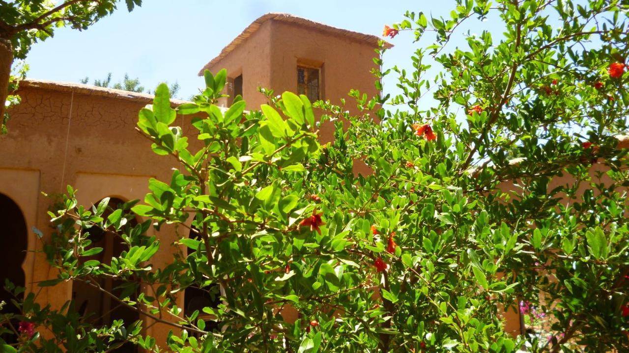 Kasbah Ait Moussa Hotel Kelaat-M'Gouna Kültér fotó